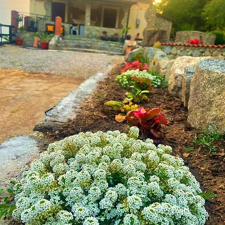 Guest house Il Pozzo *